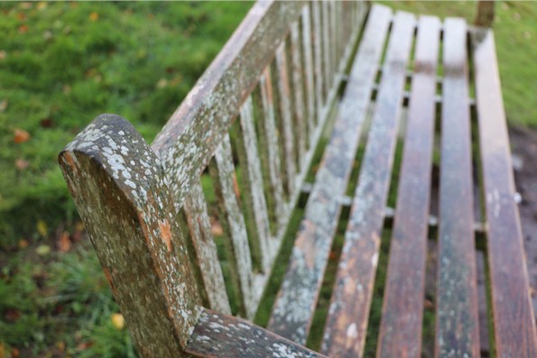 Groene aanslag op houten tuinmeubelen