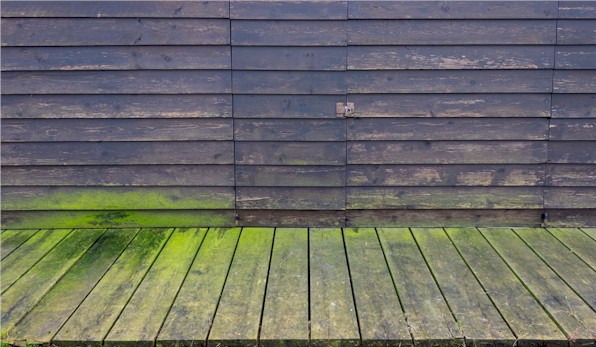 groene aanslag op houten vlonder verwijderen